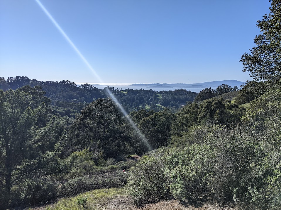 Tilden Nature Area