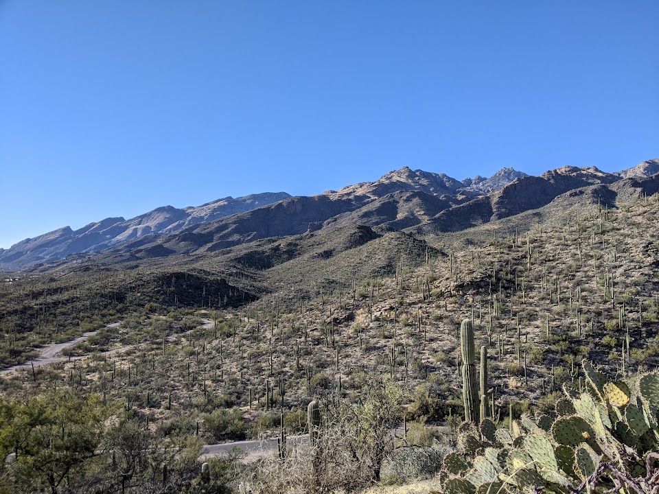 Sabino Canyon