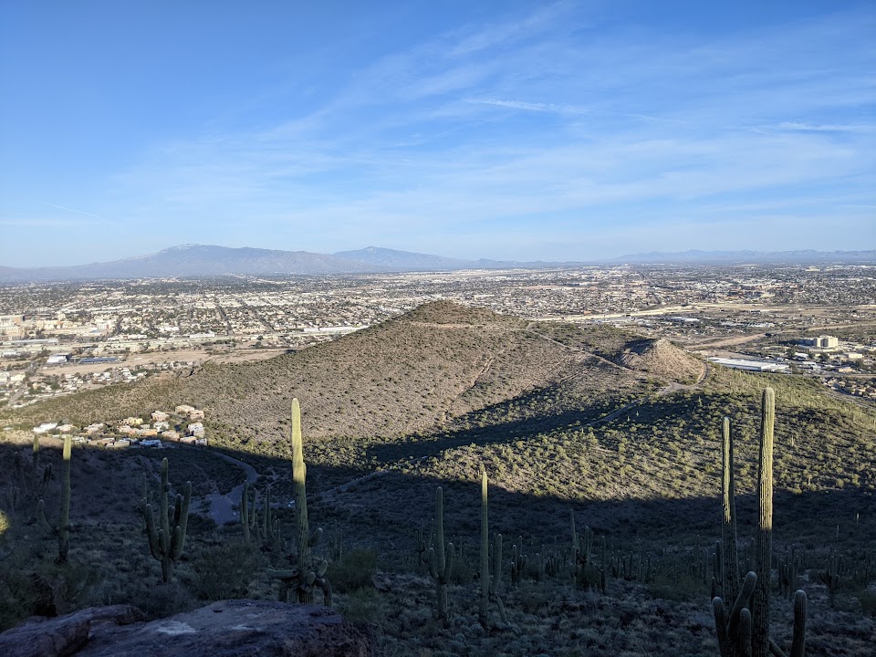 View from Tumamoc Hill